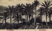 Pierre Renoir View of Bordighera:the Palms Postcard Spain oil painting artist